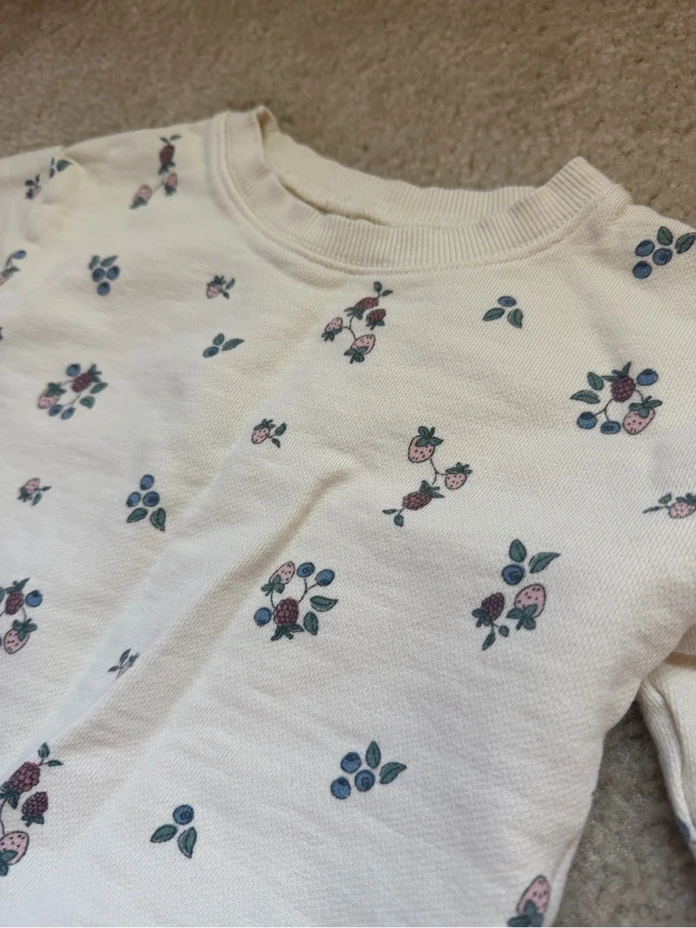 Little Planet organic girls floral and fruity set 4T